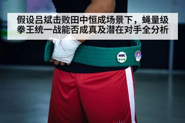 假设吕斌击败田中恒成场景下,蝇量级拳王统一战能否成真及潜在对手全分析